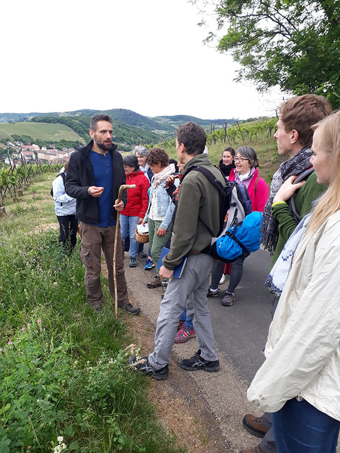 Sur le Grand Cru (bio)