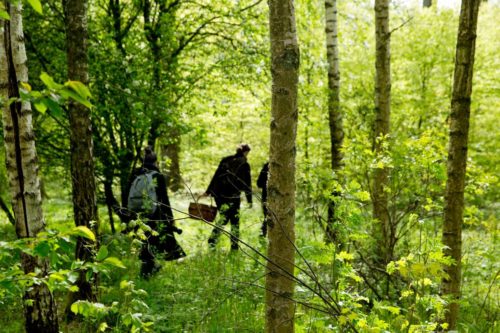 miriam_preis-foraging-7077